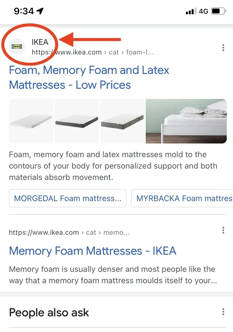 Show Your Site Name in Google Search Results